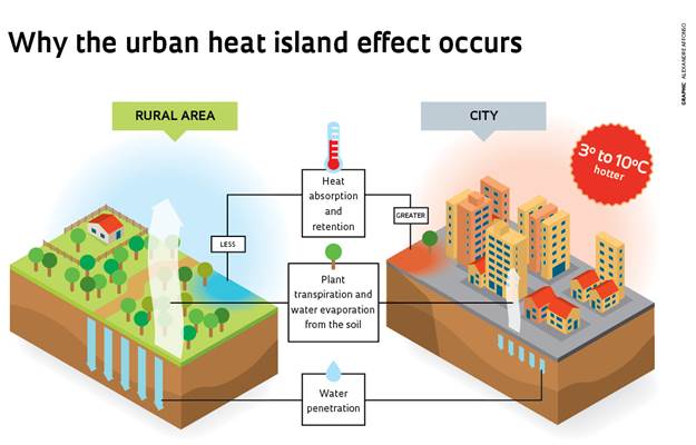 Urban Heat Island Effect